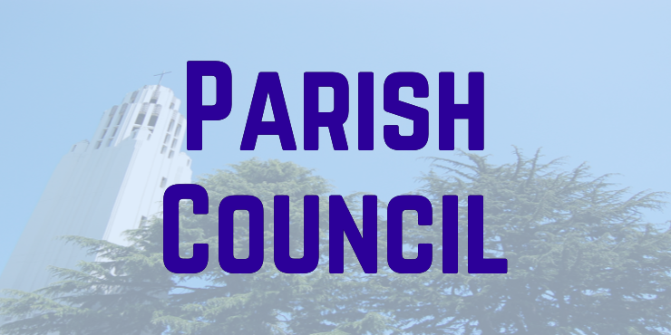 Council Button