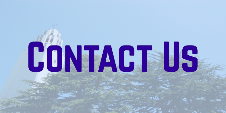 Contact Us Button